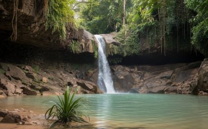Aventure dans les cascades de Martinique : les plus belles chutes et bassins
