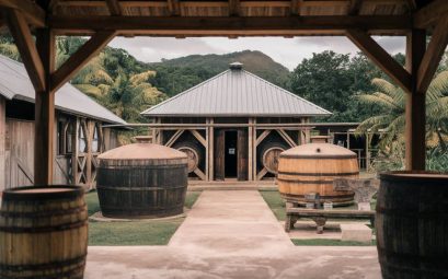 Les distilleries écologiques en Martinique : allier tradition et durabilité