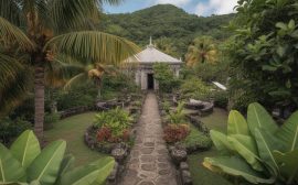 Les plus beaux jardins créoles de Martinique : traditions, plantes médicinales et art de vivre